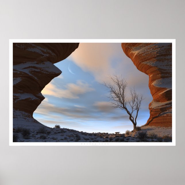 Desert Snö Poster (Framsidan)