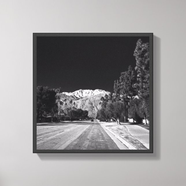 Desert Snö-Rancho Mirage, CA av Tom Masters Canvastryck (Framsida)