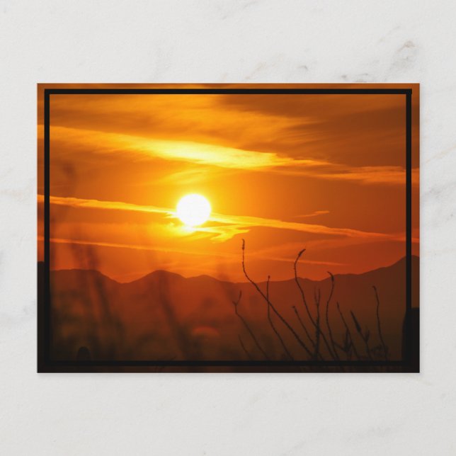 Desert Sol Vykort (Framsida)