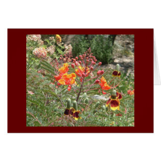 Desert southwest blommor hälsningskort