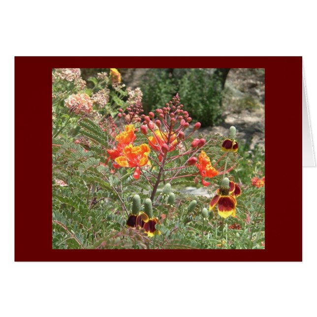 Desert southwest blommor hälsningskort (Framsidan Horizontal)