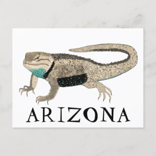 Desert Spiny Lizard ARIZONA Vild Animal Nature Art Vykort