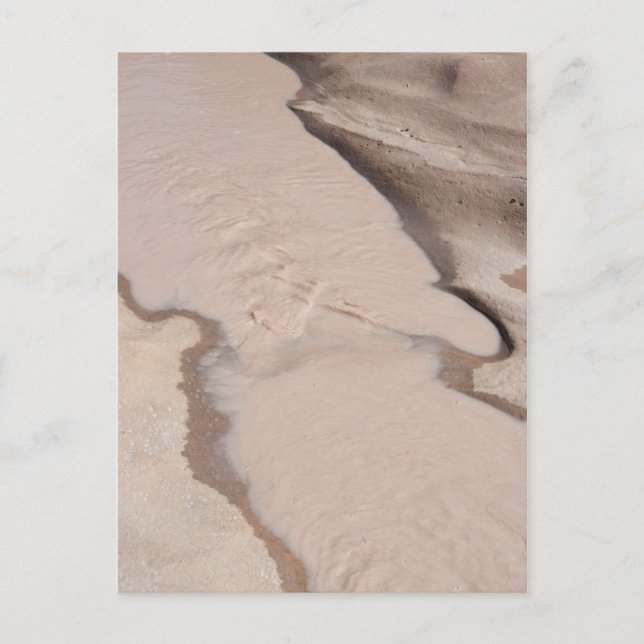 Desert Stream Vykort (Framsida)