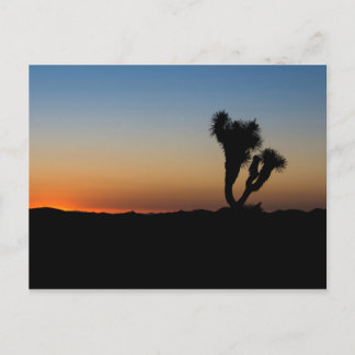 Desert Sunrise Vykort
