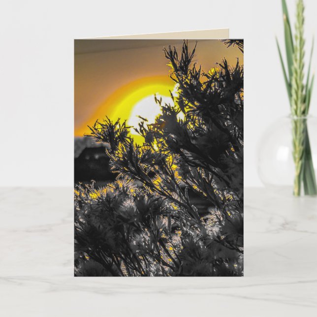 Desert Sunset Blank Greeting Card Kort (Framsida)