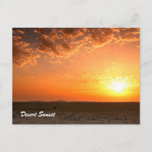 Desert Sunset Vykort