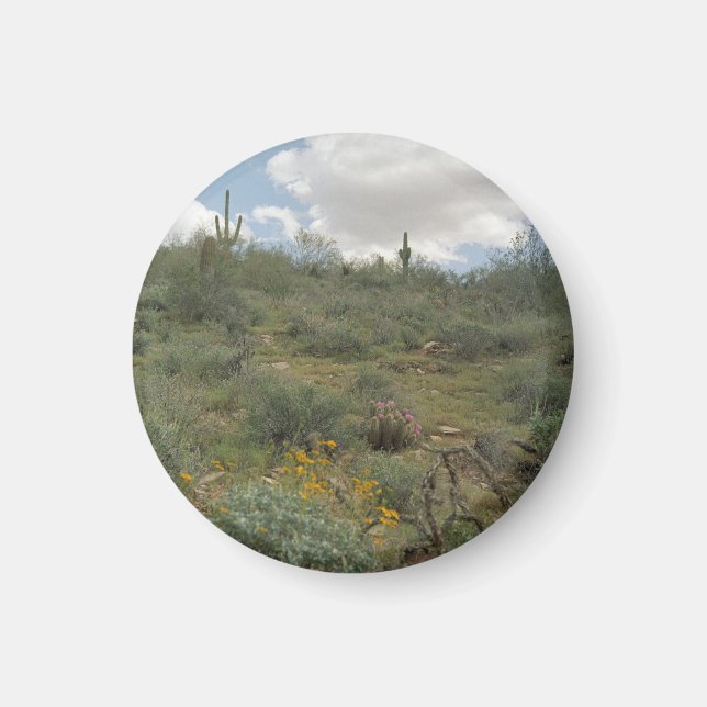 Desert Symphony Desert Refrigerator Magnet (Framsidan)