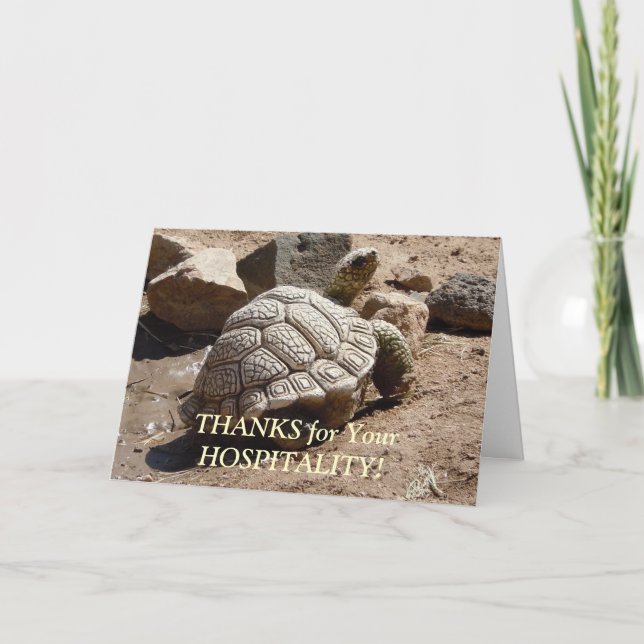 Desert Tortoise - Hospitality Tack (Framsida)