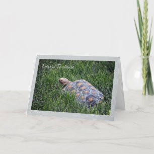 Desert Tortoise i Grönt Grass Greeting Card Kort