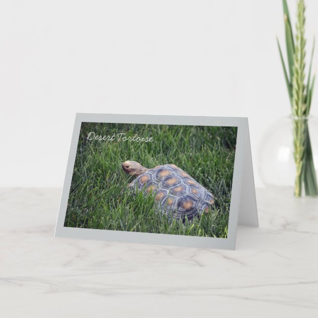 Desert Tortoise i Grönt Grass Greeting Card Kort (Framsida)