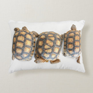 Desert Tortoise/Turtle Pillow Prydnadskudde