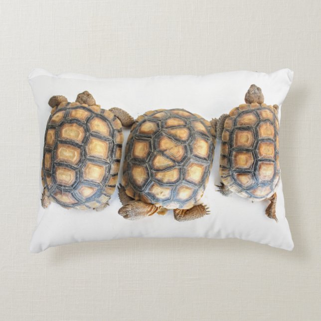 Desert Tortoise/Turtle Pillow Prydnadskudde (Framsidan)