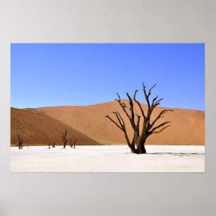 Desert Träd Poster