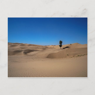 Desert Träd Vykort