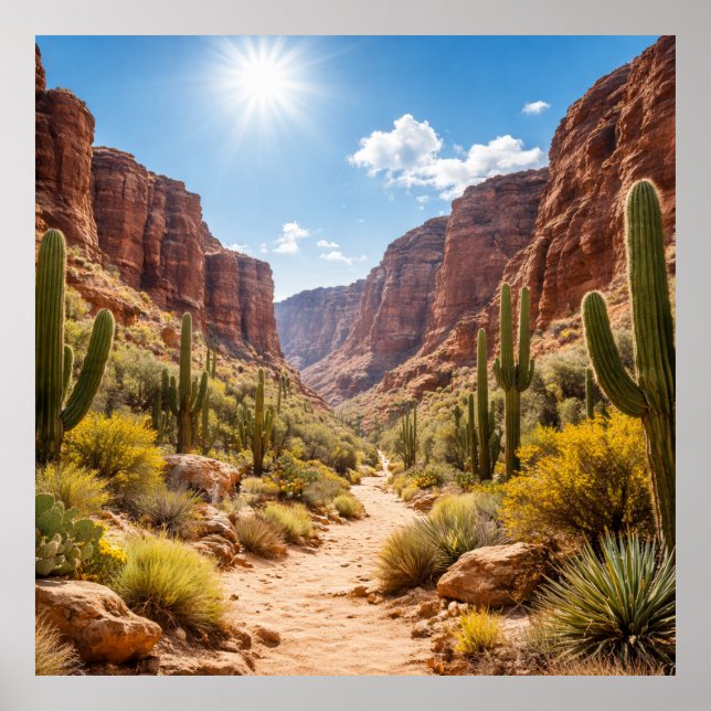 Desert Trail Between Rocky Canyons Poster (Framsidan)