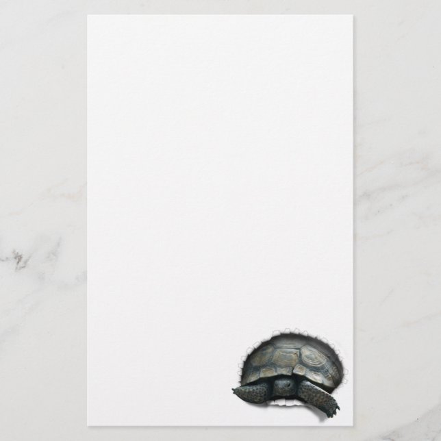 Desert Turtle kommer ut Brevpapper (Framsida)