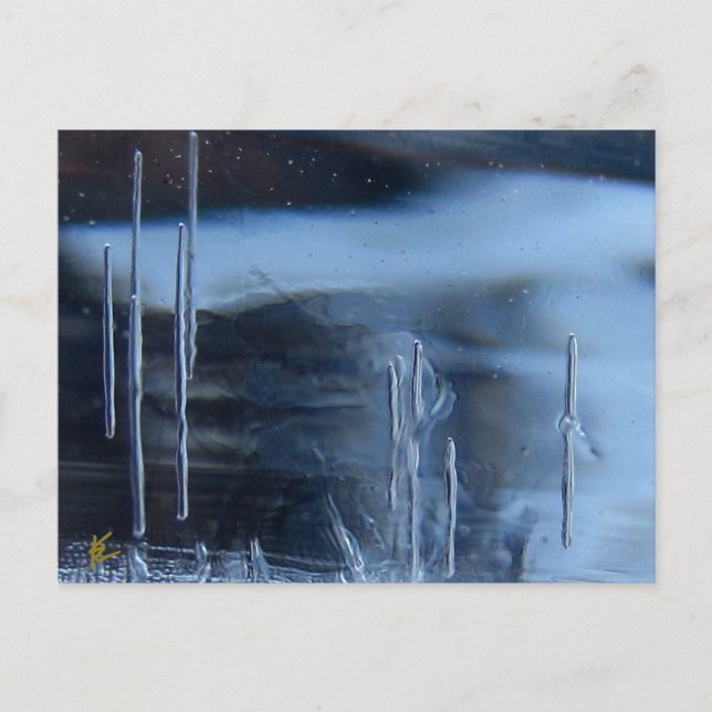 Desert Vision Quest, Saguaro på natten Vykort (Framsida)