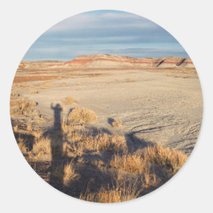 Desert Wave: Petrified Forest National Park Photo Runt Klistermärke