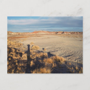 Desert Wave: Petrified Forest National Park Photo Vykort