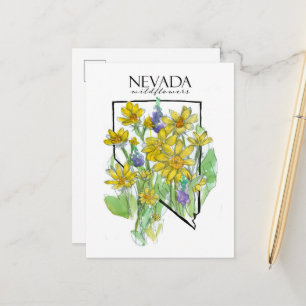 Desert Wildblommor Nevada Lupines Balsamroot Vykort