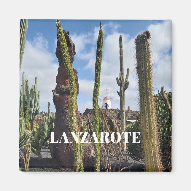 “Desert Windmill and Cactus” Magnet (Framsidan)