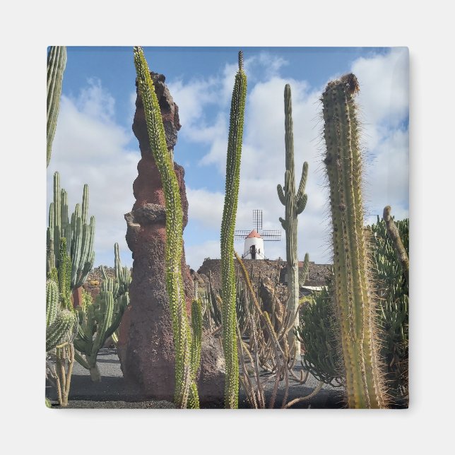 “Desert Windmill and Cactus” Magnet (Framsidan)