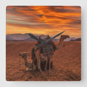 Deserts Bactrian Camel Egypten Sand Dune Fyrkantig Klocka