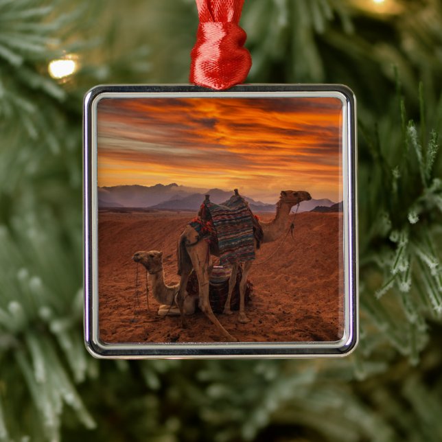Deserts | Bactrian Camel Egypten Sand Dune Julgransprydnad Metall (Träd)