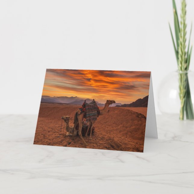 Deserts | Bactrian Camel Egypten Sand Dune Kort (Framsida)