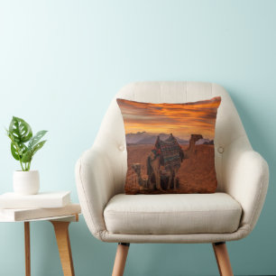 Deserts Bactrian Camel Egypten Sand Dune Kudde