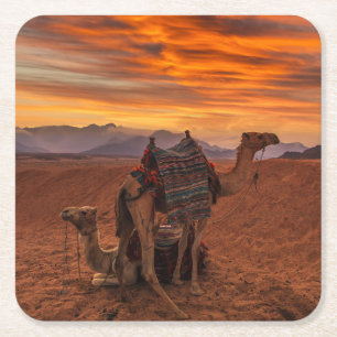 Deserts Bactrian Camel Egypten Sand Dune Underlägg Papper Kvadrat