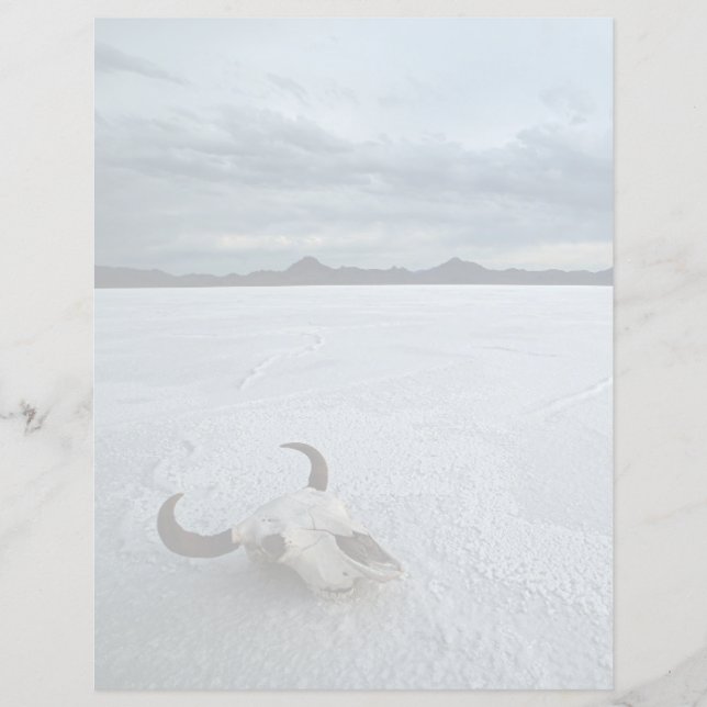 Deserts | Bonneville Salt Flats Utah (Framsida)