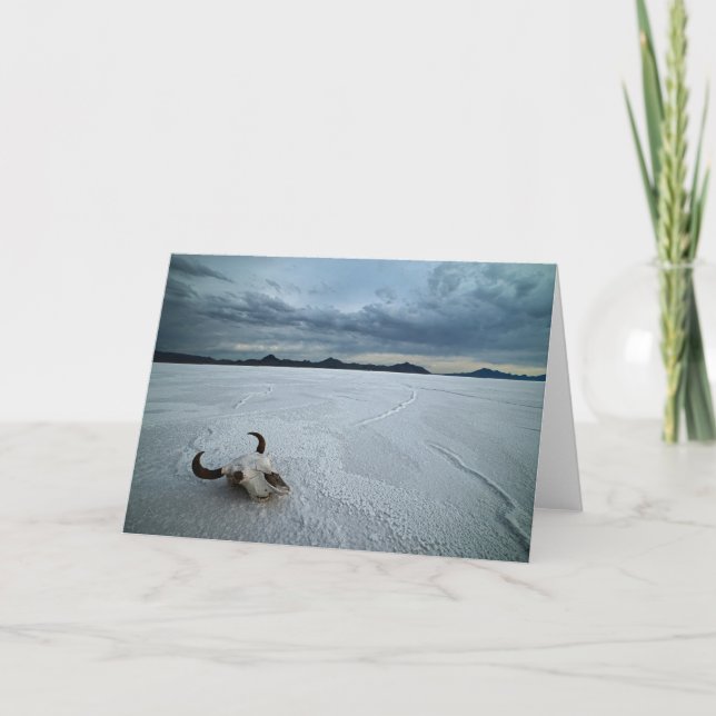 Deserts | Bonneville Salt Flats Utah Kort (Framsida)