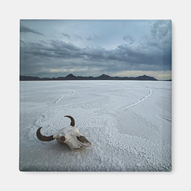 Deserts | Bonneville Salt Flats Utah Magnet (Framsidan)