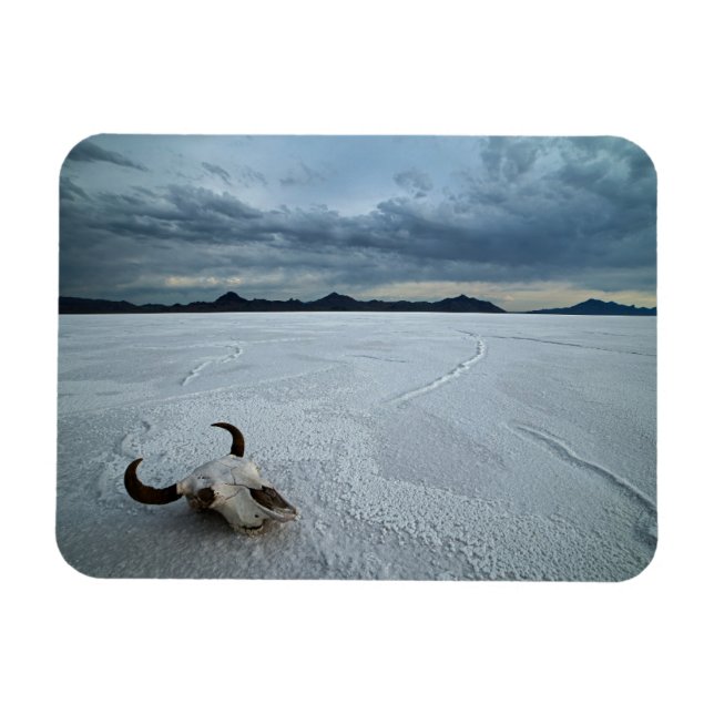 Deserts | Bonneville Salt Flats Utah Magnet (Horisontell)