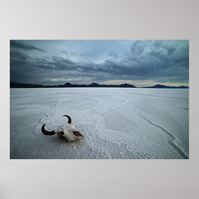 Deserts | Bonneville Salt Flats Utah Poster (Framsidan)