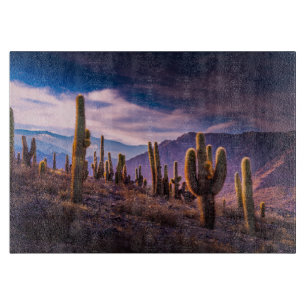 Deserts   Cactus liggande Argentina