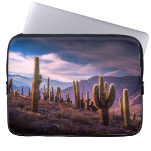 Deserts Cactus liggande Argentina Laptop Fodral