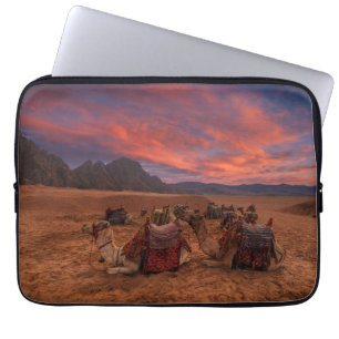 Deserts Camels Sinai Mountain Egypten Laptop Fodral