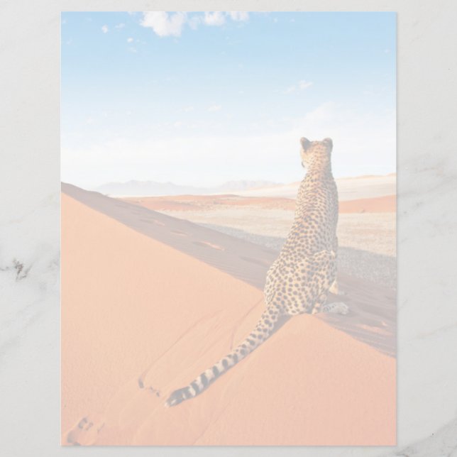 Deserts | Cheetah Savannah Desert (Framsida)