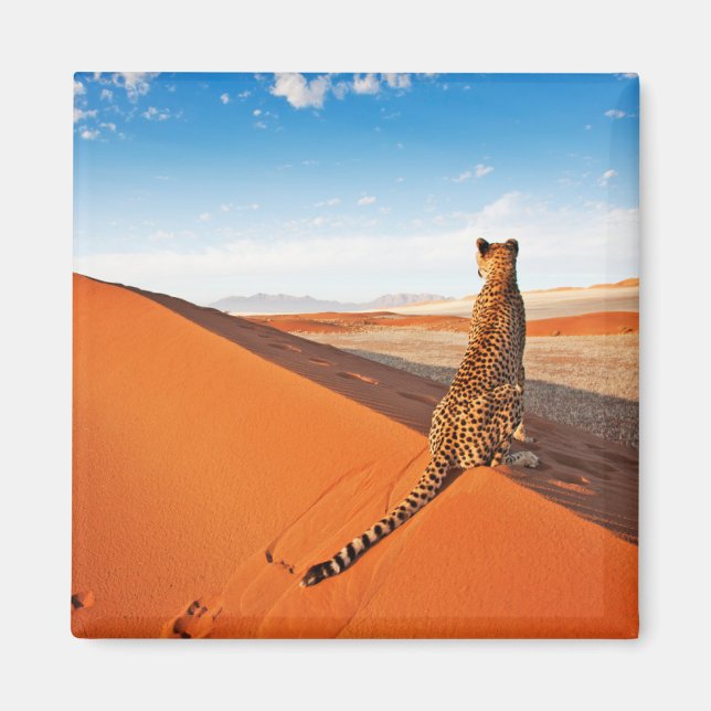 Deserts | Cheetah Savannah Desert Magnet (Framsidan)