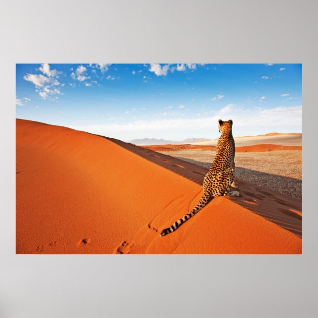 Deserts | Cheetah Savannah Desert Poster (Framsidan)