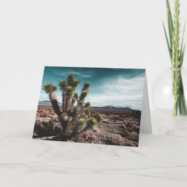 Deserts | Cholla Cactus Kort (Framsida)