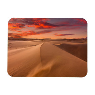 Deserts Desert Förenade Arabemiraten Magnet