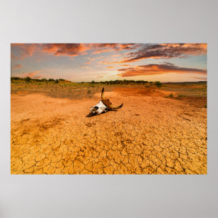 Deserts Desert med Cow Skull Poster