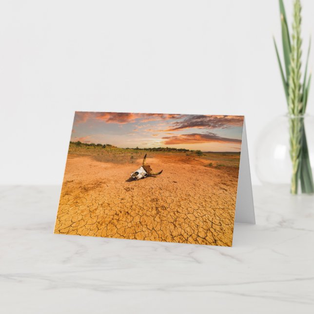 Deserts | Desert with Cow Skull Kort (Framsida)