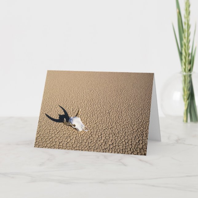 Deserts | Kokskull på ökningsmarken Kort (Framsida)