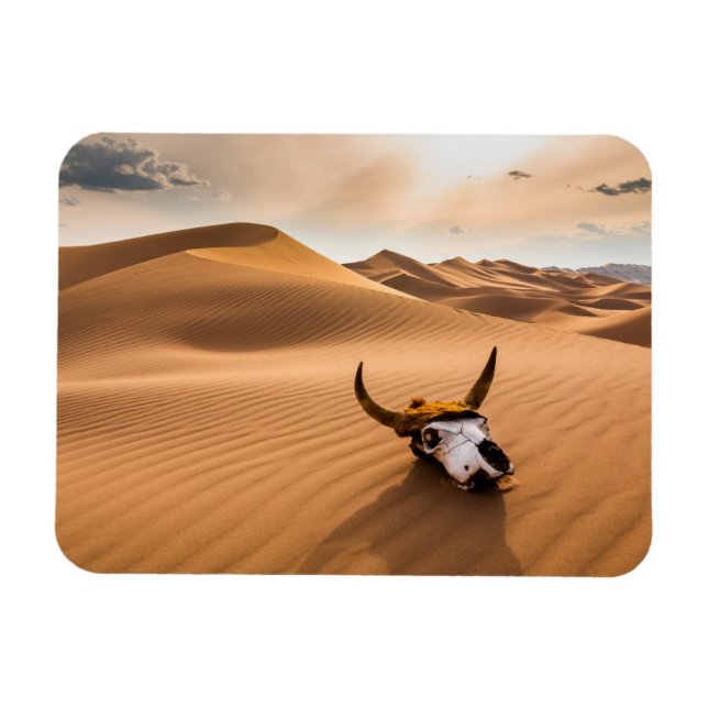 Deserts | Kow Skull Rippled Sand Dunes Magnet (Horisontell)