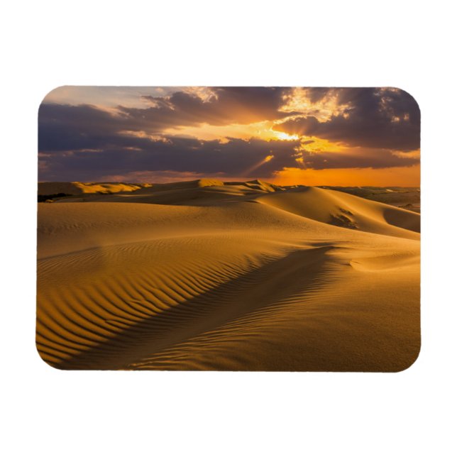 Deserts | Landskap i Sand Dunes Magnet (Horisontell)