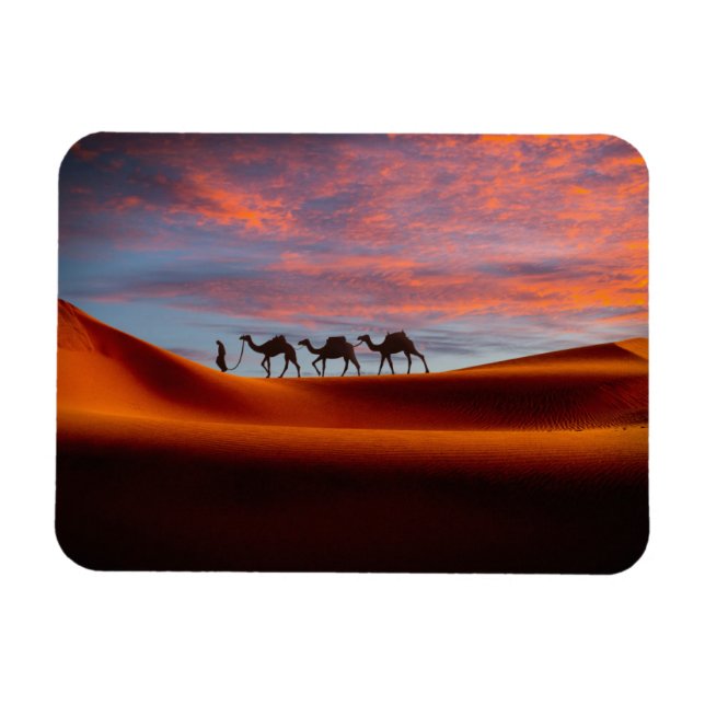 Deserts | Man & Camels i Sand Dunes Magnet (Horisontell)